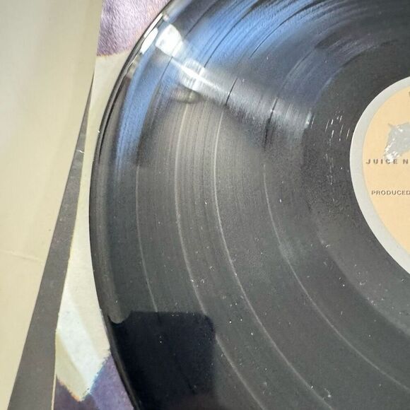 Can't Wait All Night LP by Juice Newton vinyl 1984 VG+ AFL1-4995 RCA Records - Picture 8 of 8